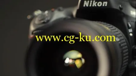 Nikon D800 Essential Training的图片1