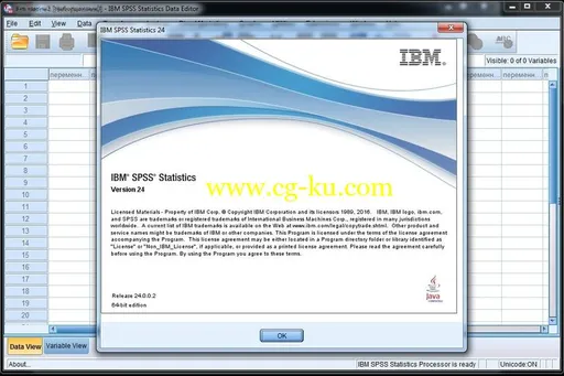 IBM SPSS Statistics 24.0 HF02的图片2