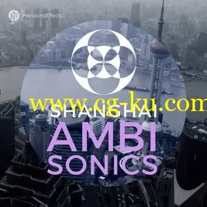 Pro Sound Effects Shanghai Ambisonics WAV的图片1