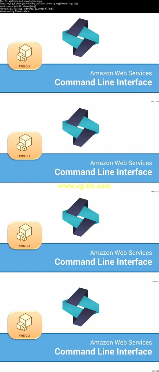 AWS MasterClass: DevOps with AWS Command Line Interface (CLI)的图片2