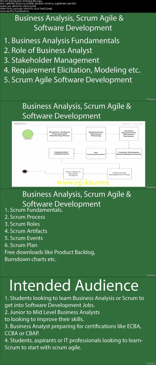 Business Analysis & Scrum Agile for Business Analysts的图片2