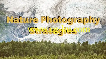 Nature Photography Strategies的图片1