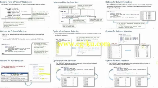 Complete & Practical SAS, Statistics & Data Analysis Course的图片2