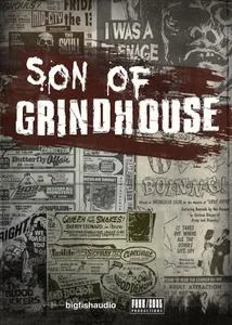 Big Fish Audio & Funk Soul Productions – Son of Grindhouse KONTAKT AiFF REX的图片1