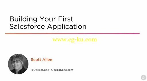 Building Your First Salesforce Application的图片1