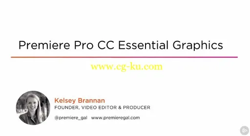 Premiere Pro CC Essential Graphics的图片1
