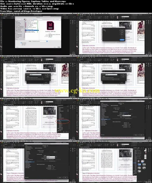 InDesign CC Developing Long Documents, Books, and Manuals的图片4