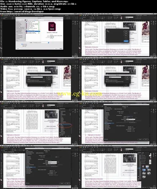 InDesign CC Developing Long Documents, Books, and Manuals的图片5