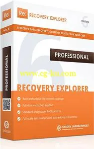 Recovery Explorer Pro 6.16.2.4894的图片1
