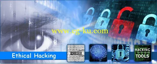 IT Security and Ethical Hacking (Full Courses)的图片1