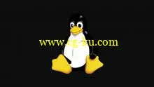Linux command lines and administration in 2 days的图片1