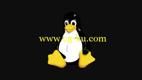 Linux command lines and administration in 2 days的图片2