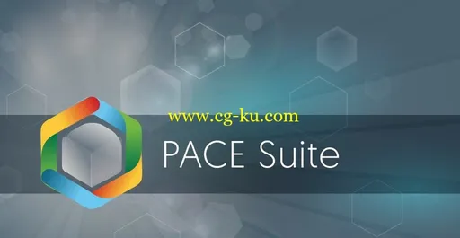 Pace Suite MSI Editor 4.6.1.18的图片1