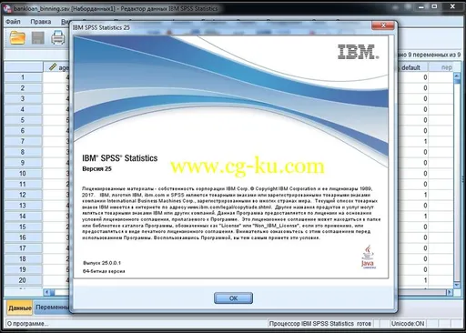 IBM SPSS Statistics 25.0 HF001 IF009(10) Win/MacOsx/Linux的图片2