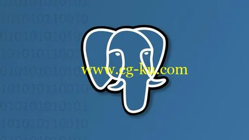 Intro To PostgreSQL Databases With PgAdmin For Beginners的图片1