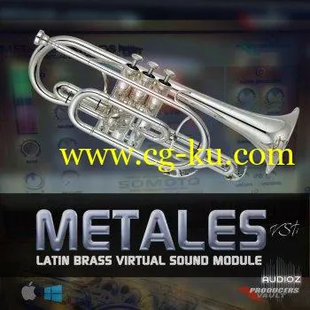 Producers Vault – METALES VSTi 1.1 Latin Brass Virtual Sound Module for WINDOWS的图片1