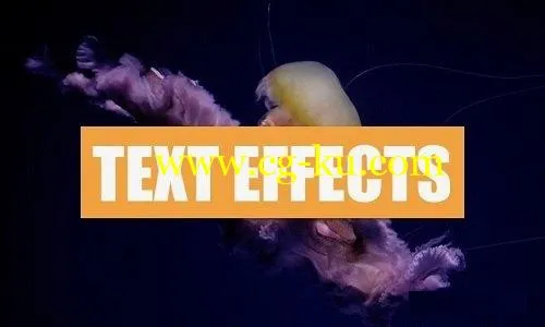 Skillshare – SEVEN Different Text Effects on Premiere Pro的图片1