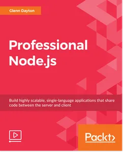 Professional Node.js的图片1