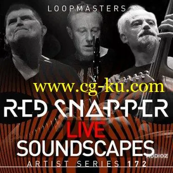 Loopmasters Red Snapper Live Soundscapes WAV REX的图片1
