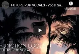 Function Loops – Future Pop Vocals (Wav/Midi/Sylenth)的图片1