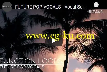 Function Loops – Future Pop Vocals (Wav/Midi/Sylenth)的图片2