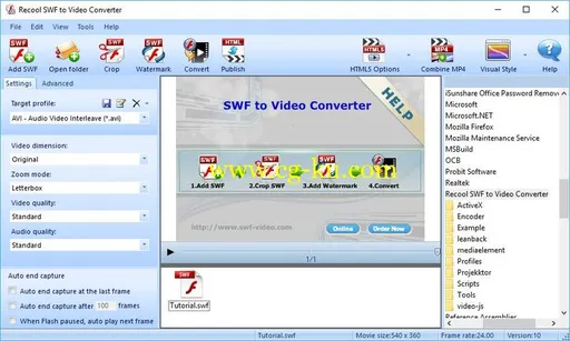 Recool SWF to Video Converter 4.5 Build 200的图片1