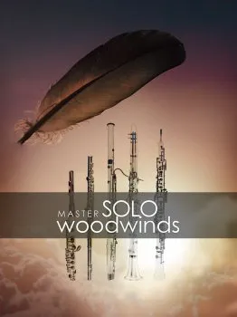 Auddict Master Solo Woodwinds Bundle KONTAKT的图片1