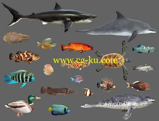Cubebrush – Low poly Fish Collection Animated Pack 2的图片1