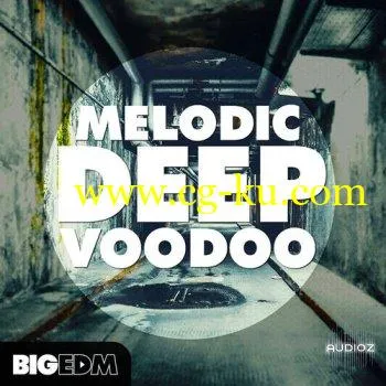 Big EDM Melodic Deep Voodoo MULTiFORMAT的图片1