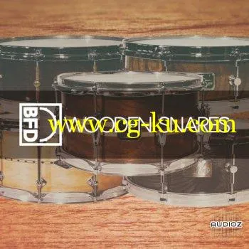 FXpansion BFD Wooden Snares for BFD3-V.R的图片1