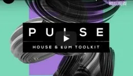 Production Master Pulse (House And EDM Toolkit) WAV-DISCOVER的图片1