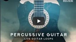Black Octopus Sound Percussive Guitar WAV-DISCOVER的图片1