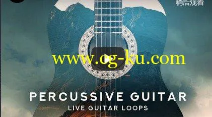 Black Octopus Sound Percussive Guitar WAV-DISCOVER的图片2