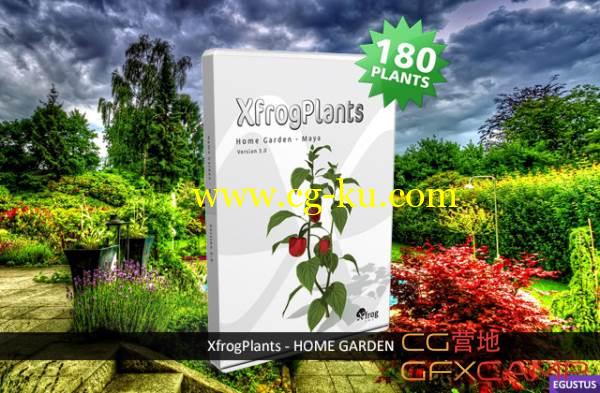 花园植物3D模型 Xfrog Plants – Home Garden的图片1