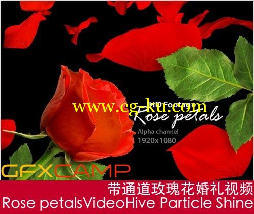 带通道玫瑰花婚礼视频 Alpha channel footage HD – Rose petals的图片1