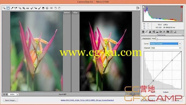 PS照片曝光调色教程 Lynda  – Nondestructive Exposure and Color Correction with Photoshop CC 2014的图片1