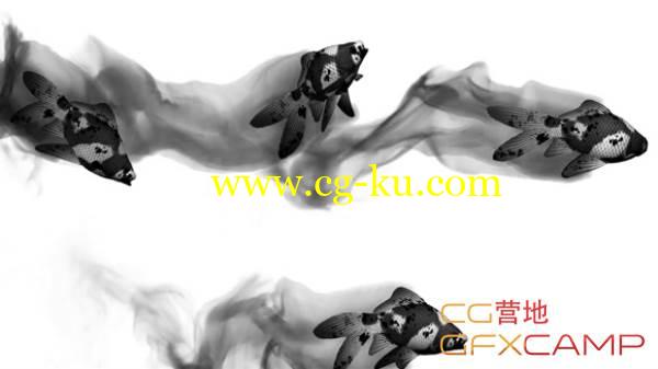 C4D TurbulenceFD中国风水墨金鱼游动教程的图片1