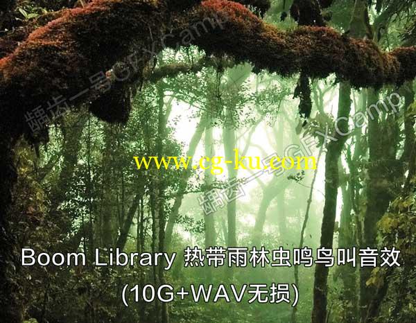 Boom Library 大自然南美洲热带雨林虫鸣鸟叫音效的图片1