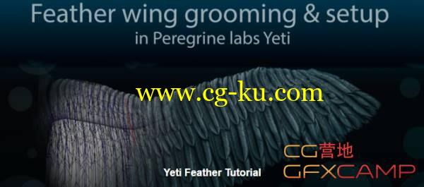 Maya毛发羽毛制作插件Yeti使用教程 Gumroad – Feather wing grooming and setup in Peregrine labs Yeti的图片1