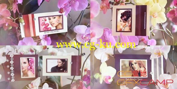 AE模板-花朵相册相框浪漫回忆爱情婚礼开场 Photo Gallery in Flowers的图片1