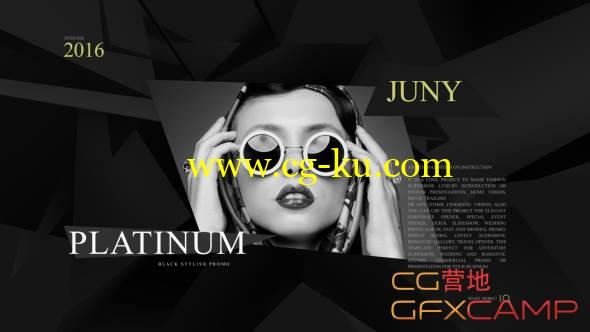 AE模板-商务时尚网站排版商品介绍片头宣传片 Platinum Fashion Promo的图片1