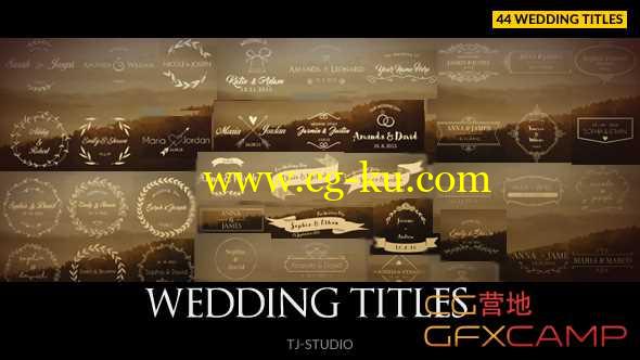 AE模板-44个西方欧式婚礼人名字幕条文字标题动画 Wedding Titles的图片1