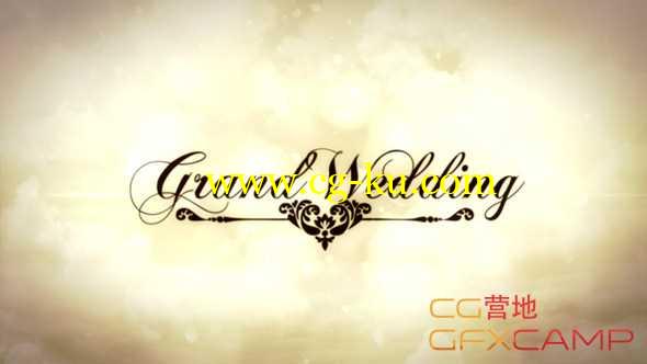 AE模板-复古回忆婚礼照片相册展示片头 Grand Wedding的图片1