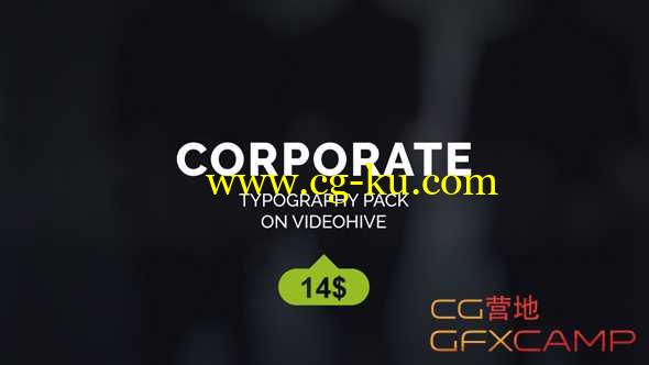 AE模板-简洁企业商务文字标题动画 Corporate Titles的图片1
