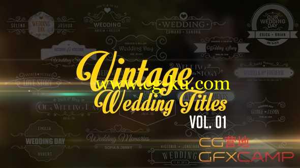 AE模板-复古欧式婚礼文字标题动画 Vintage Wedding Titles vol01的图片1