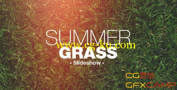 草地照片展示 VideoHive Grass Slideshow的图片1