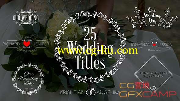 AE模板-25组婚礼浪漫文字标题动画 Wedding Titles的图片1