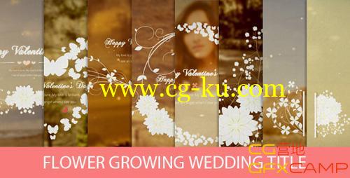 花藤生长婚礼模板 VideoHive Flower Growing Wedding Title的图片1