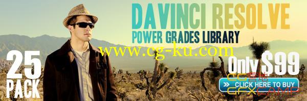 达芬奇电影调色预设 DaVinci Resolve – Luster Power Grades的图片1