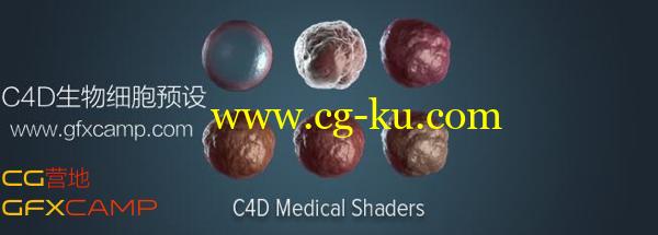 C4D生物细胞预设 Cinema 4D Organic Medical Shader Pack的图片1